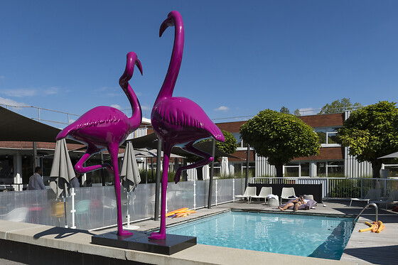 Novotel Lyon Bron Eurexpo - photo 14