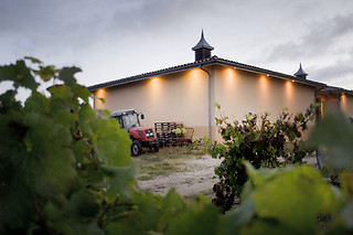 Escape game autour du vin pour 2 - Oenanim - Saint-Émilion (33)