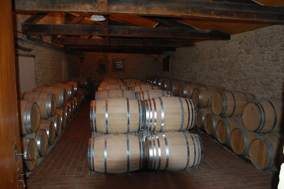 Escape game autour du vin pour 2 - Oenanim - Saint-Émilion (33)