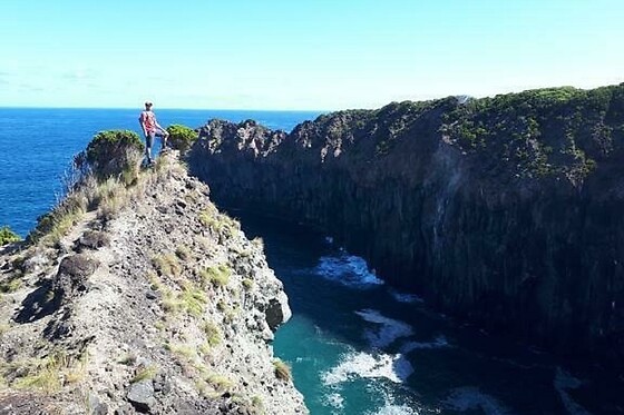 Azores Nature Tours - photo 34