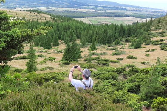 Azores Nature Tours - photo 28