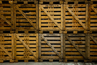 Dégustation pour 2 au Champagne de Barfontarc à Baroville (10)