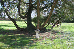 Le Clos de Caramélia