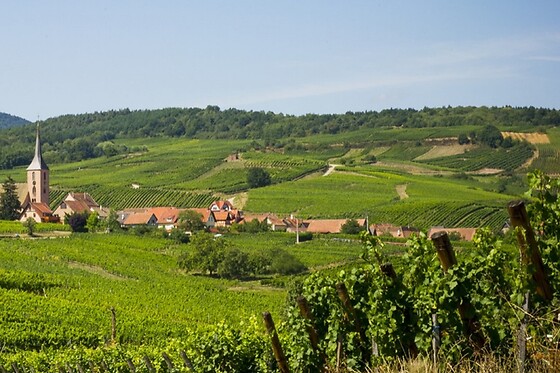DETOUR ALSACE - photo 18
