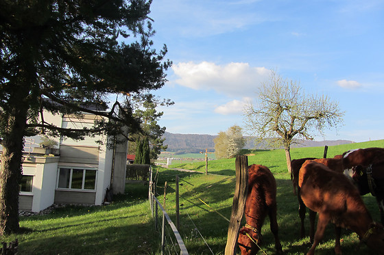 Chez Chantal - photo 0