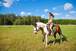 Un Poney, une histoire