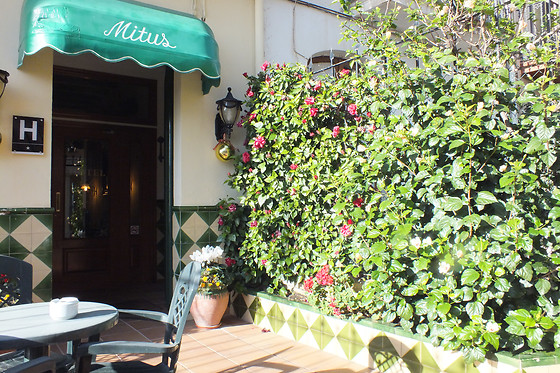 HOTEL MITUS - photo 2