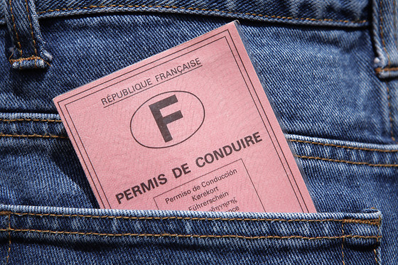 Le permis libre - photo 1