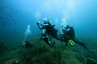 Baptême de plongée - Nautilus Dive Center - Dinard (35)