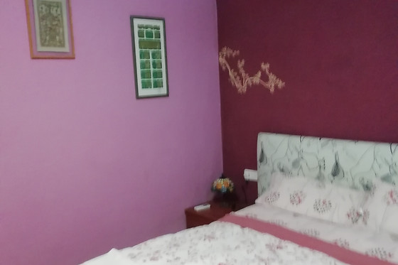 CASA RURAL LOS PINOS - photo 2