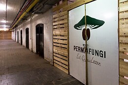PermaFungi