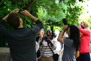 Balade Photo "La campagne" à Paris 20ème