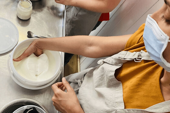 Atelier fabrication de tomme et de ricotta à Toulouse (31)