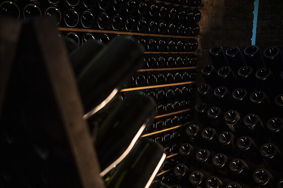 Cantine Bosca - photo 6
