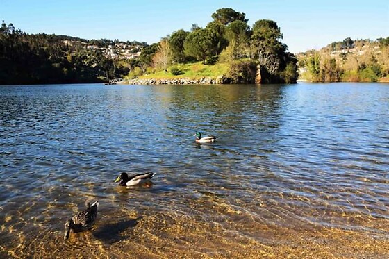 CORGA TOURS - photo 16