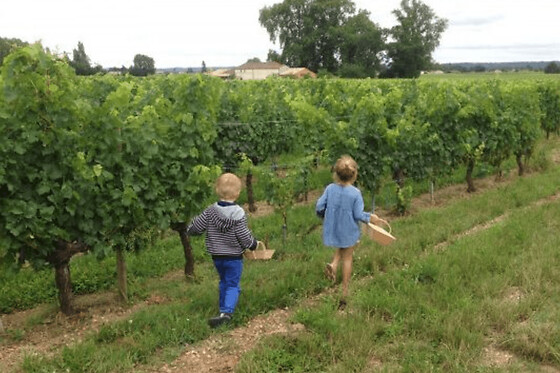 Atelier enfant apprenti vigneron au Château Cormeil-Figeac (33)