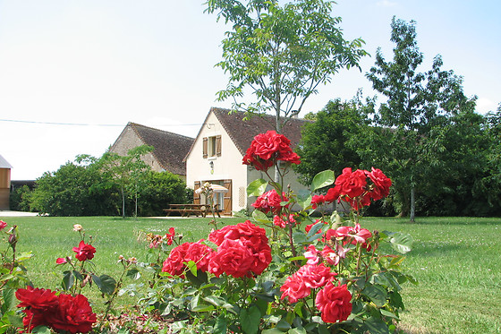 La Ferme des Pignons - photo 4
