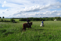 Un Poney, une histoire