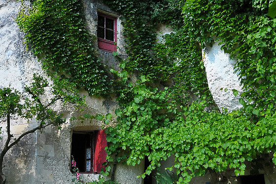 La Magnanerie - photo 0