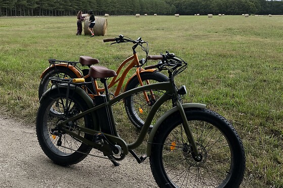 Royal Fat Bike - photo 3