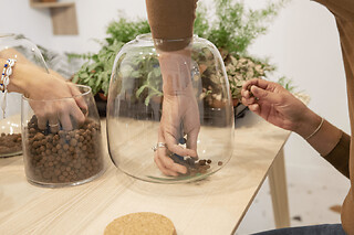 Atelier création d'un Terrarium à Paris 11ème