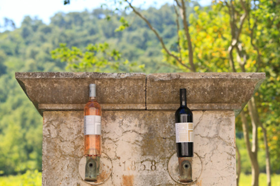 Domaine de la Portanière - photo 1