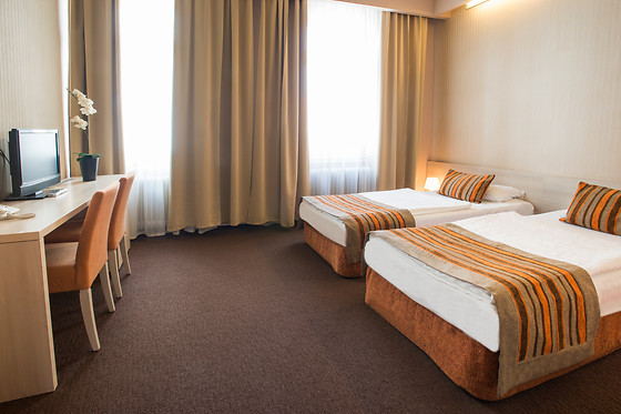 Star City Hotel - photo 8
