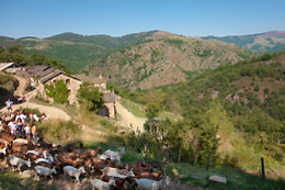 La ferme des Cevennes