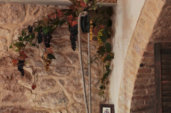 Collis Petri Relais - photo 10