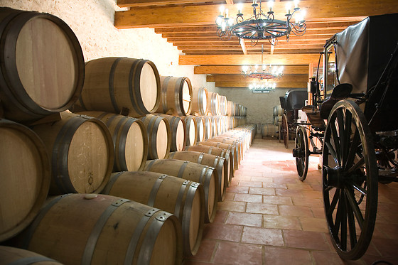 BODEGAS LOS PINOS - photo 7
