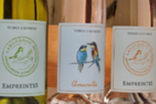 Balade œnologique et dégustation de vin en groupe au Domaine Terre des 2 Sources à Montoulieu (66)