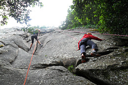 INTO THE NATURE