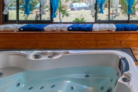 Hôtel Au Coq Dort Spa - photo 1