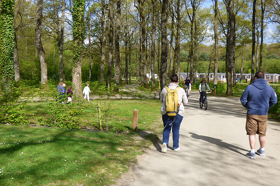 Seasonova camping La Foret - photo 1