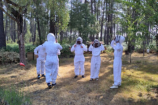 Initiation à l'apiculture et à la dégustation du miel (33)