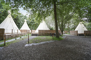 Camping Les Rives de Grand Lieu à Saint-Philbert-de-Grand-Lieu (44)
