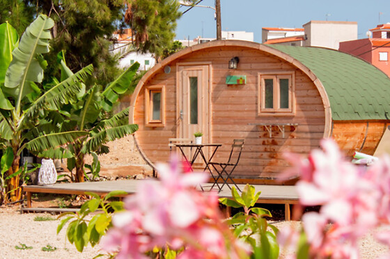 SERENDIPIA NATURAL SOCIAL CLUB - photo 3