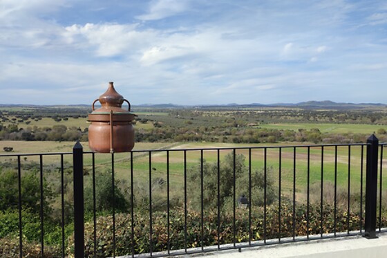 Destilaria Atalaya Gin - photo 9