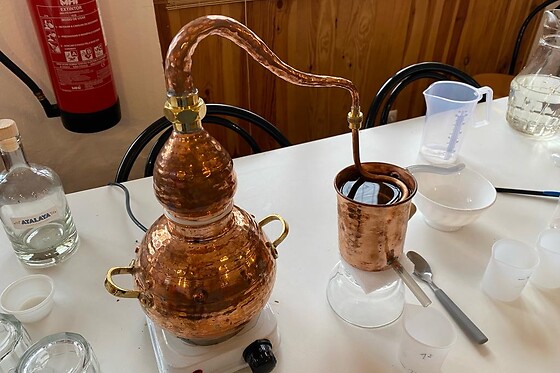 Destilaria Atalaya Gin - photo 2