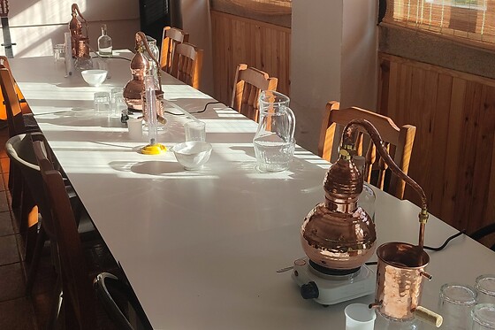 Destilaria Atalaya Gin - photo 1