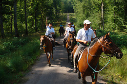 Zucht- und Reitstall Gentinetta