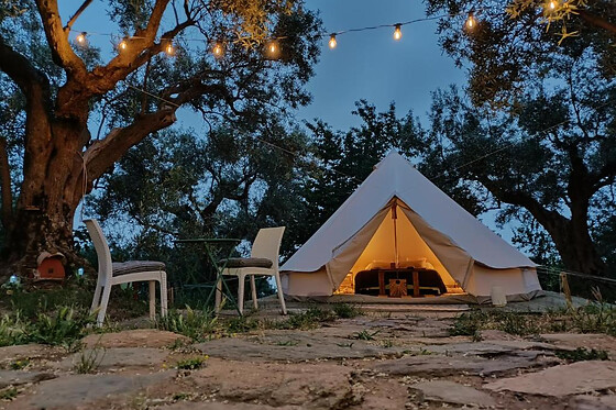 Golden Camp - photo 2