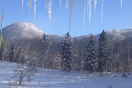 Berghof Montpelon