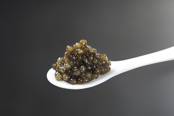 Caviar de Neuvic - photo 5