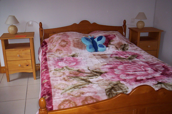 Alquier - photo 8