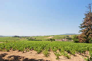 Deux nuits pour 2 au Château de la Chapelle des Bois à Fleurie (69)