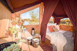 Les étangs de la Bassée