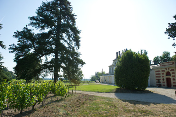 Escape game autour du vin pour 2 - Oenanim - Saint-Émilion (33)