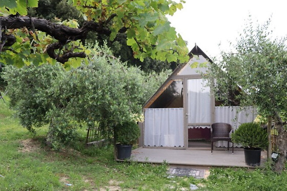 Cevoli Country Resort - photo 0