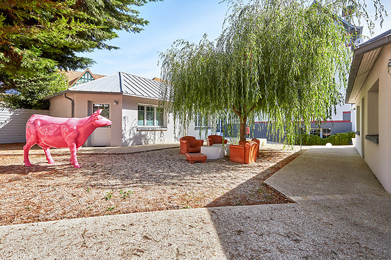 Le Manoir d'à Côté - photo 16